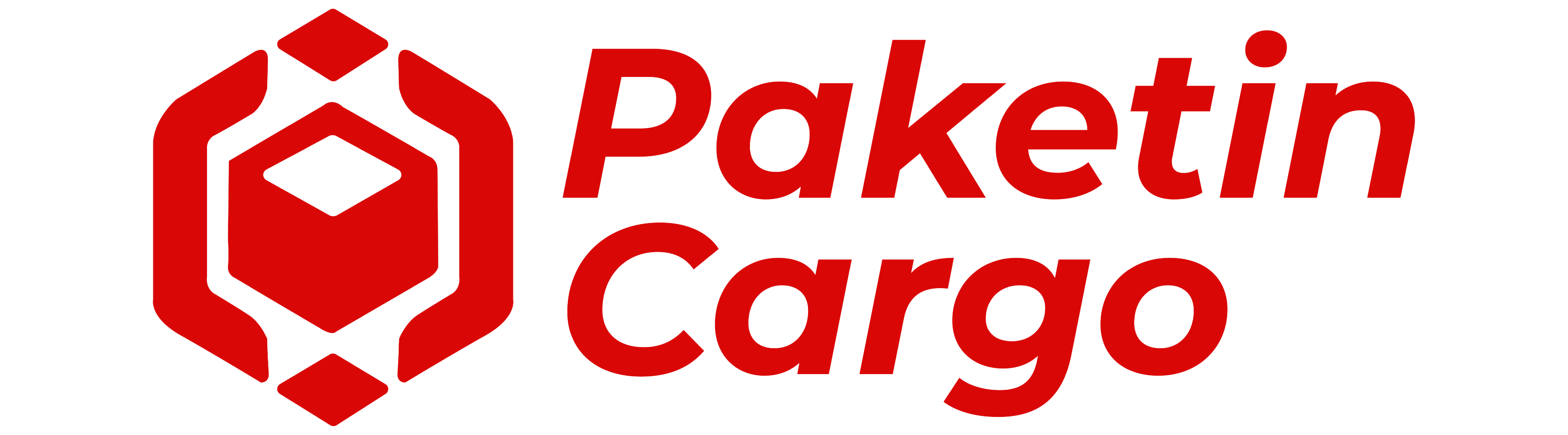 Paketin Cargo Logo